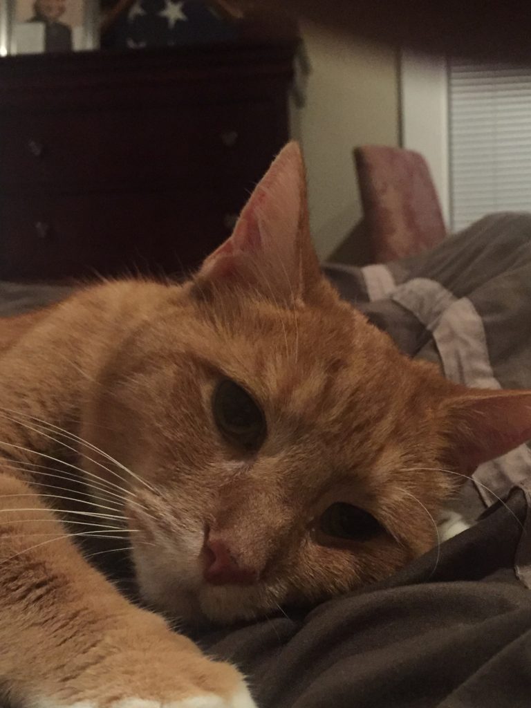 Tobias Pet Crematory