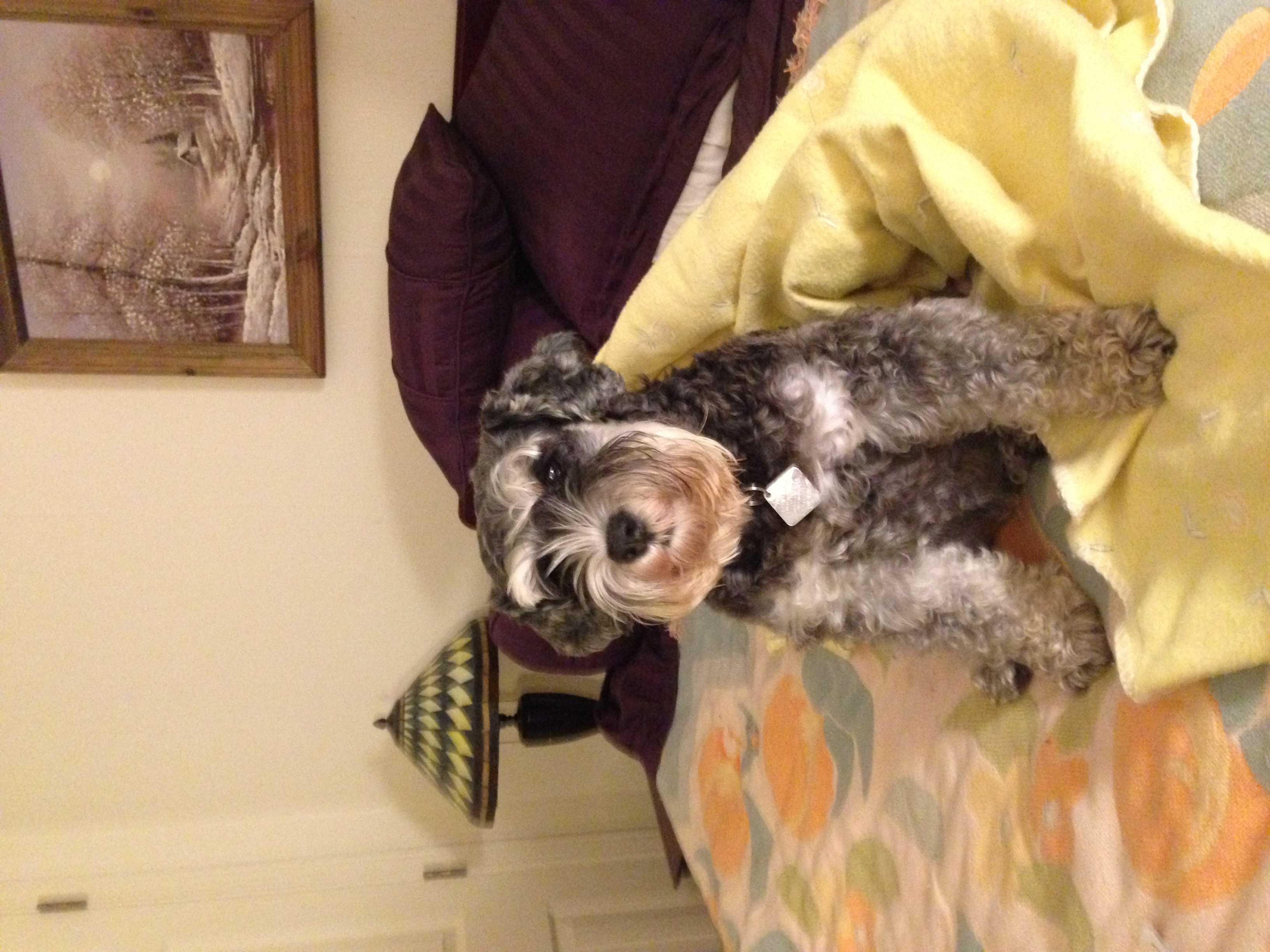 IMG_2390 Pet Crematory