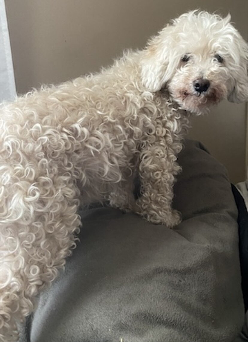 IMG_7314 Pet Crematory